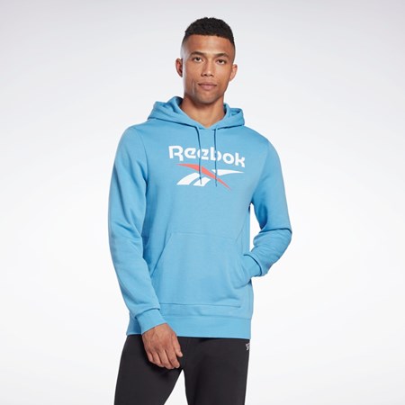 Reebok Reebok Identity Big Logo Hoodie Blå | DRPSQ-9350