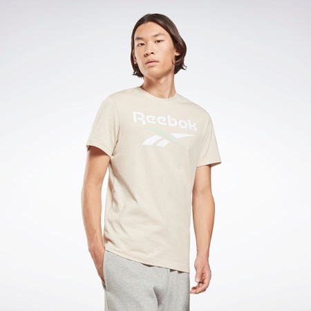 Reebok Reebok Identity Big Logo T-Shirt Stucco | NQXTE-5084