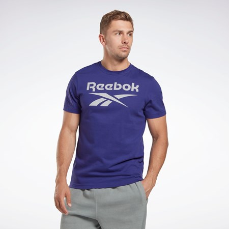 Reebok Reebok Identity Big Logo T-Shirt Lila | SGKQX-5384