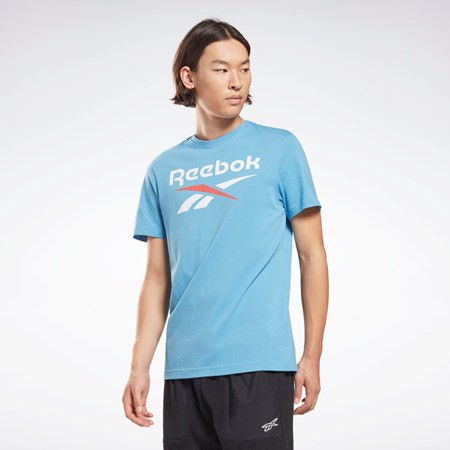 Reebok Reebok Identity Big Logo T-Shirt Blå | ZPFAI-0918