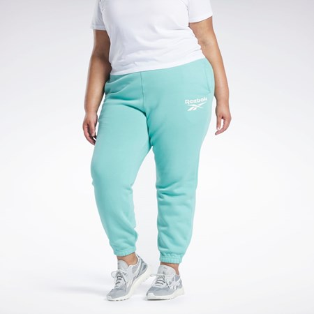 Reebok Reebok Identity Logo Fleece Joggers (Plus Size) Semi Classic Teal | BGNYO-6480