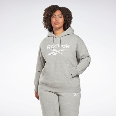 Reebok Reebok Identity Logo Fleece Pullover Hoodie (Plus Size) Grå | HABSN-4173