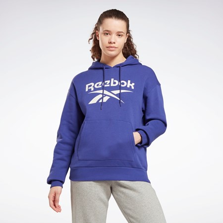 Reebok Reebok Identity Logo Fleece Pullover Hoodie Lila | ILSCN-3470