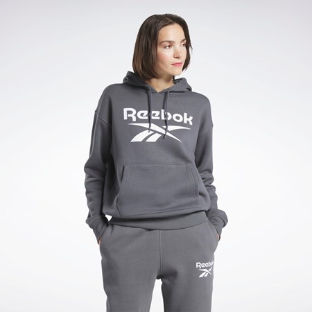 Reebok Reebok Identity Logo Fleece Pullover Hoodie Grå | ZCJXN-4376