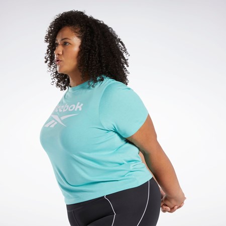 Reebok Reebok Identity T-Shirt (Plus Size) Semi Classic Teal | VLHJS-7601