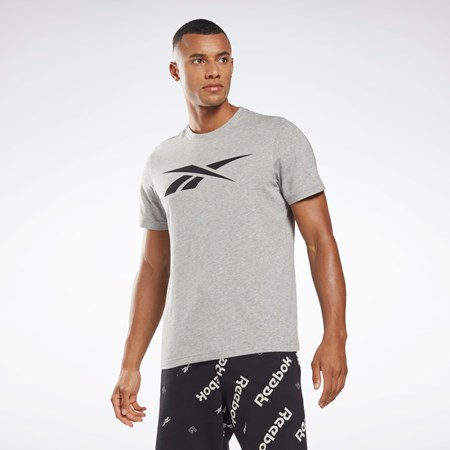 Reebok Reebok Tryck Series Vector T-Shirt Grå | RWKJX-6513