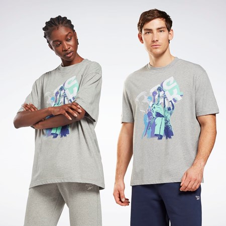 Reebok Tryck Series T-Shirt Grå | DUMEQ-8690