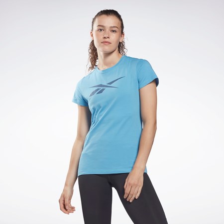 Reebok Tränings Essentials Vector Tryck Tee Blå | PLWOZ-7823