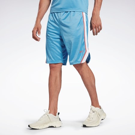 Reebok Workout Ready Mesh Shorts Blå | SDIVE-1830